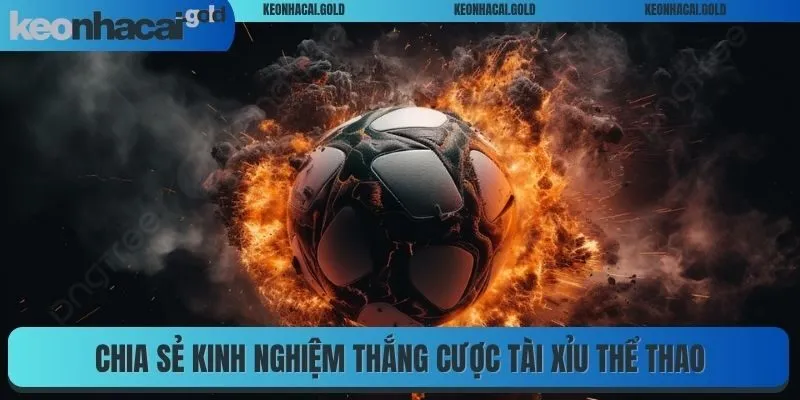 Chia sẻ kinh nghiệm thắng cược tài xỉu thể thao