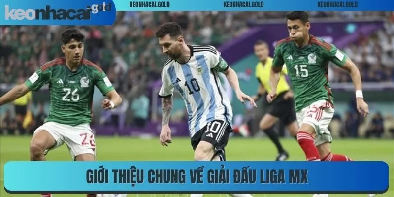 Giới thiệu chung về giải đấu Liga MX