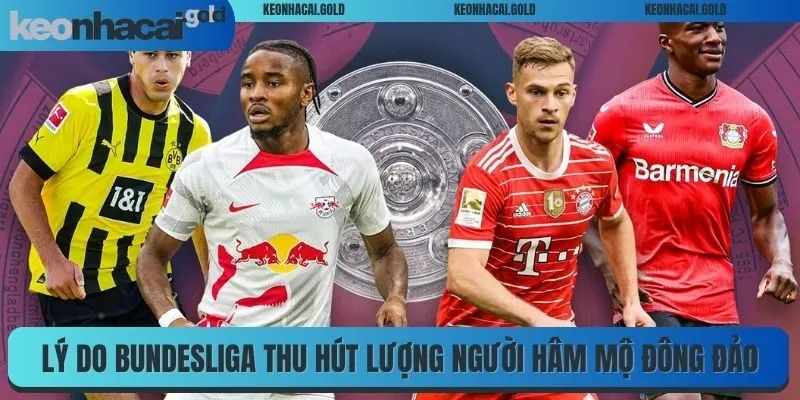 Lý do Bundesliga thu hút lượng người hâm mộ đông đảo