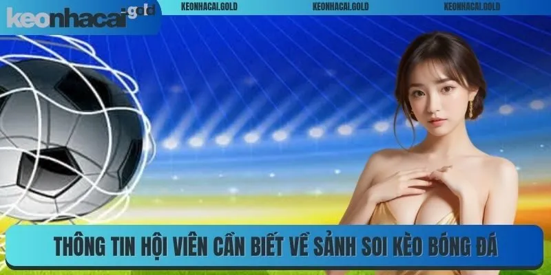 Hiểu chính xác kèo châu Á là gì trước khi tham gia