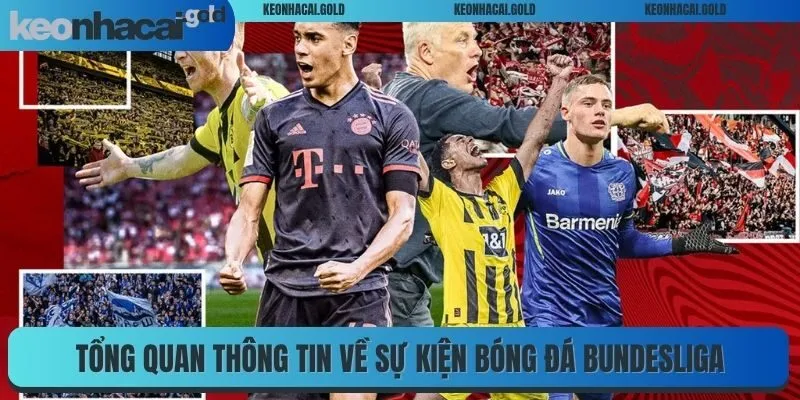 Tổng quan thông tin về sự kiện bóng đá Bundesliga