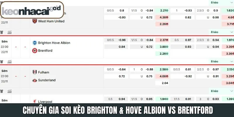 Soi kèo Brighton & Hove Albion và Brentford chi tiết nhất
