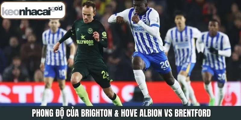 Cập nhật phong độ hiện tại của Brighton và Brentford