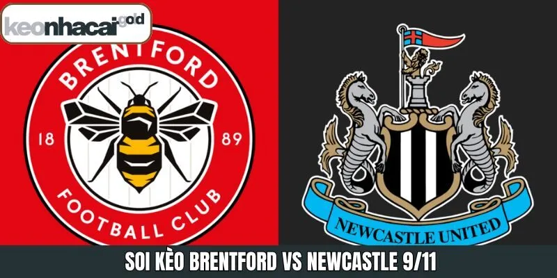 Soi Kèo Brentford Vs Newcastle 9/11 Chi Tiết Tại Keonhacai