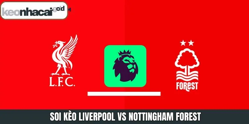 Soi Kèo Liverpool Vs Nottingham Forest Vào 22h 22/11