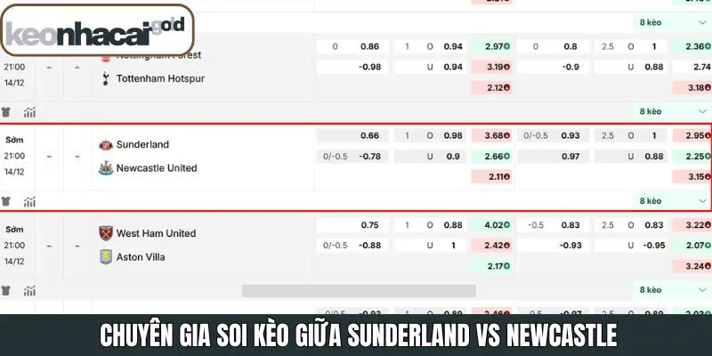 Đánh giá chi tiết tỷ lệ kèo giữa Sunderland và Newcastle