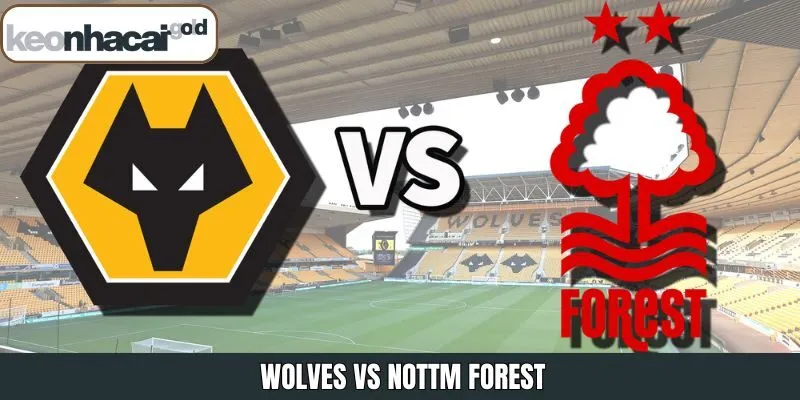 Wolves vs Nottm Forest - Nhận Định Trận Đấu 2h30 ngày 4/12