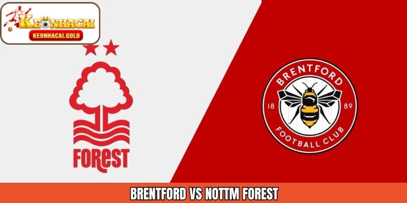 Nhận Định Chi Tiết Brentford Vs Nottm Forest 25/01 Từ Keonhacai