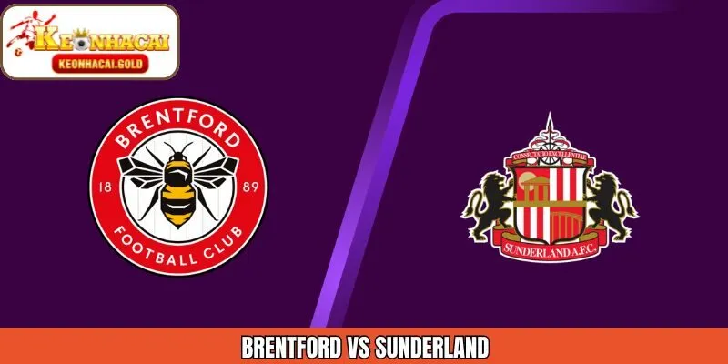 Nhận Định Trận Đấu Brentford Vs Sunderland Ngày 8/1 Chính Xác