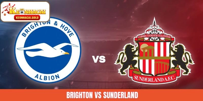 Brighton Vs Sunderland 20/12/2025 – Soi Kèo Cùng Keonhacai