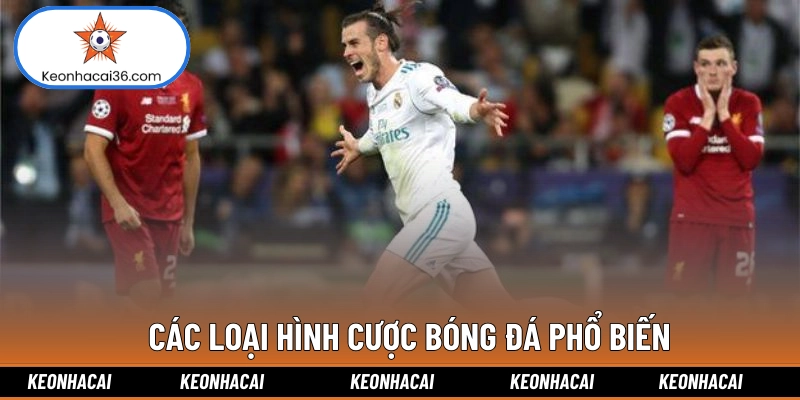 Các loại hình cược bóng đá phổ biến