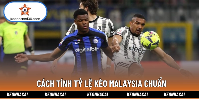 Cách tính tỷ lệ kèo Malaysia chuẩn