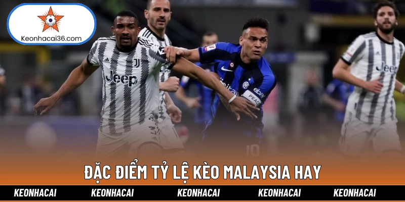 Đặc điểm tỷ lệ kèo Malaysia hay