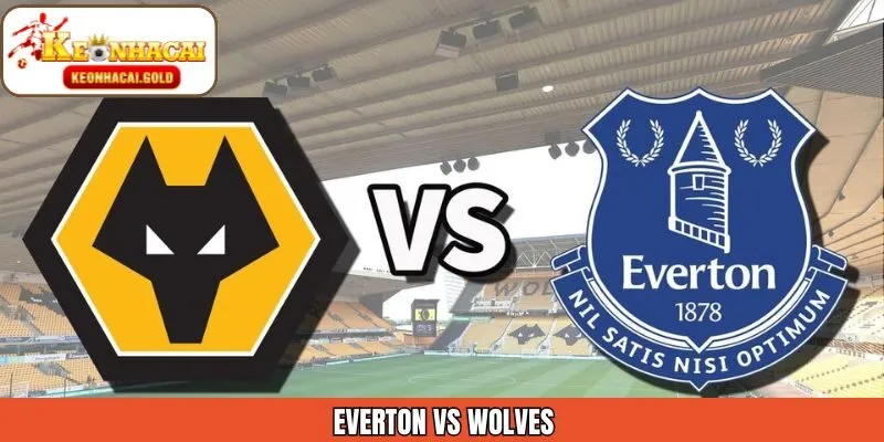 Nhận Định Kèo Everton Vs Wolves Ngày 08/01 Từ Keonhacai