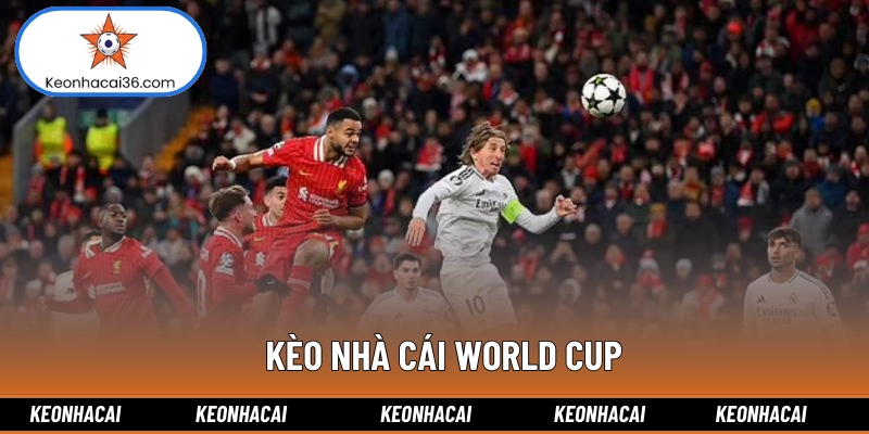 Kèo nhà cái World Cup: Cơ Hội Đầu Tư Sinh Lời Hấp Dẫn