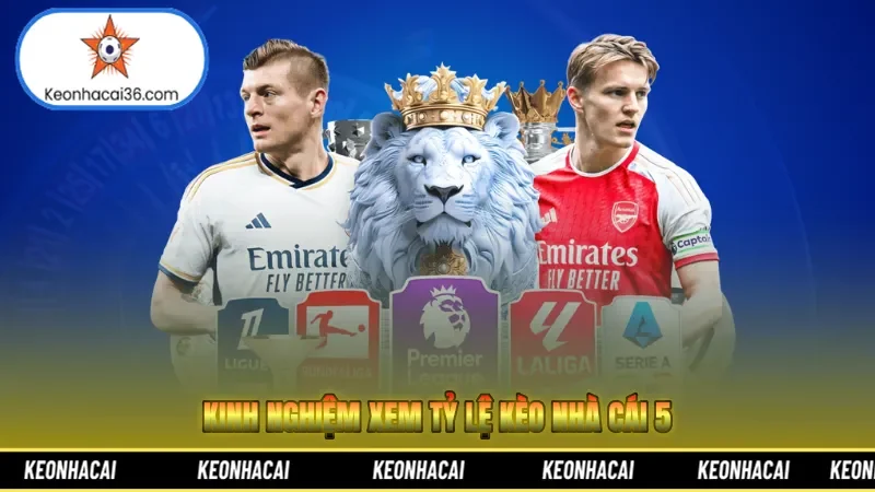 Kinh nghiệm xem Tỷ lệ kèo nhà cái 5