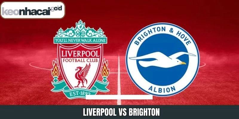 Liverpool Vs Brighton – Nhận Định Trận Đấu Ngày 13/12