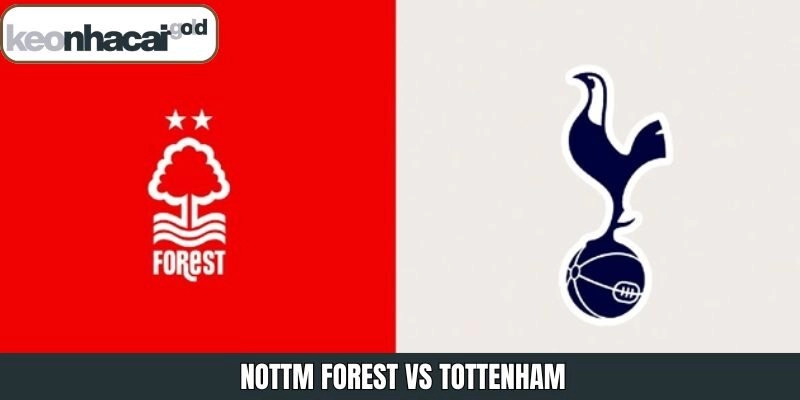 Nhận Định Nottm Forest Vs Tottenham Vào 14/12 Từ Keonhacai
