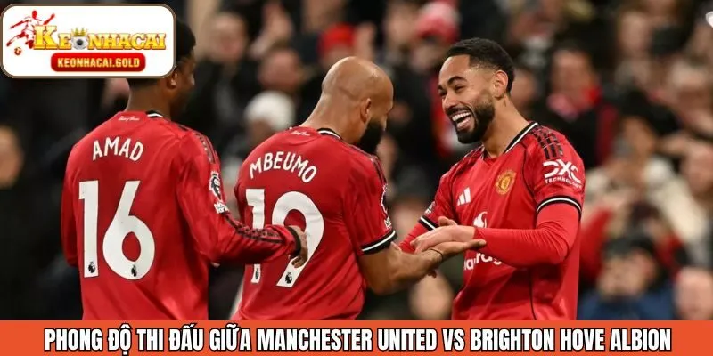 Phong độ hiện tại của Manchester United vs Brighton Hove Albion