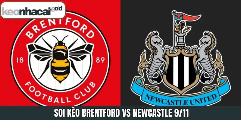 Soi Kèo Brentford Vs Newcastle 9/11 Chi Tiết Tại Keonhacai